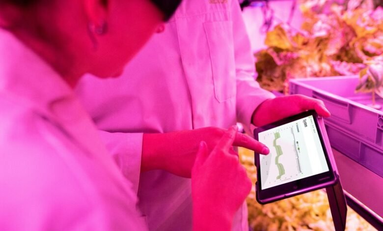 digital growth tools maximization