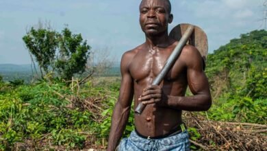 empower your digital growth