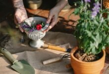 maximize digital growth tools