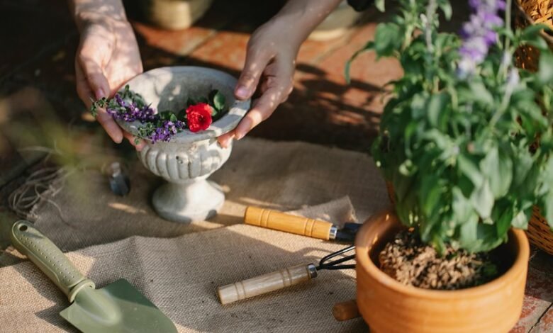 maximize digital growth tools